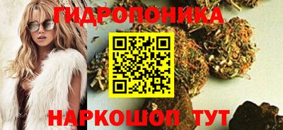 гашик Гусев