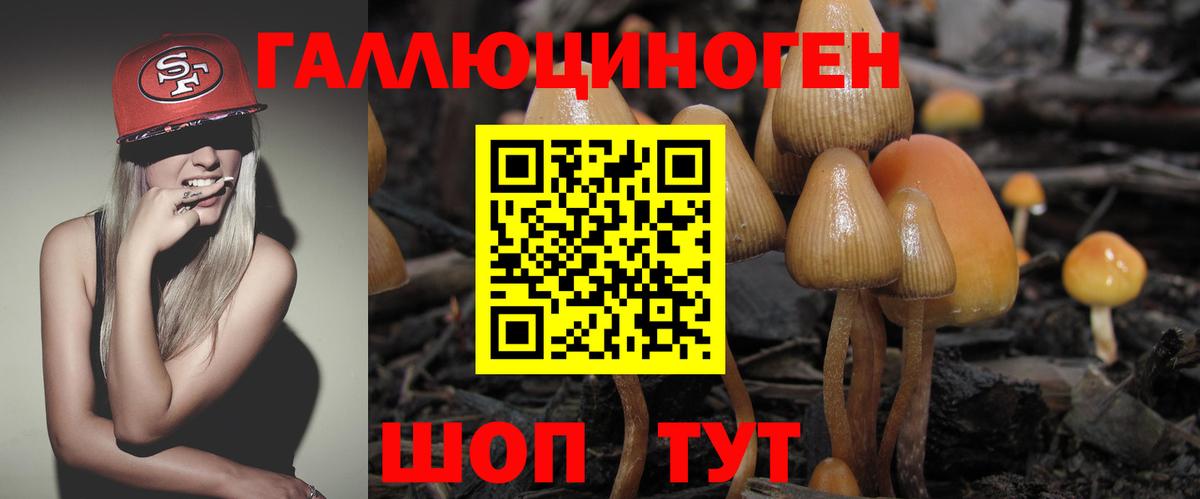 Псилоцибиновые грибы мицелий  купить наркотик  Сокол  Вход с VPN 